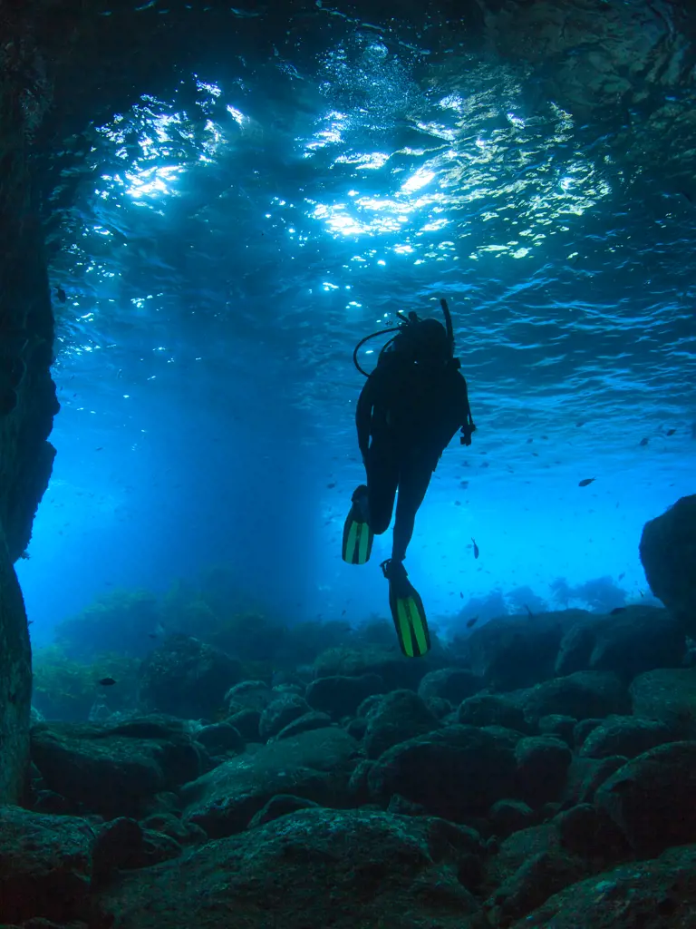Tauchreisen Neuseeland